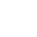 Shipping Insurance